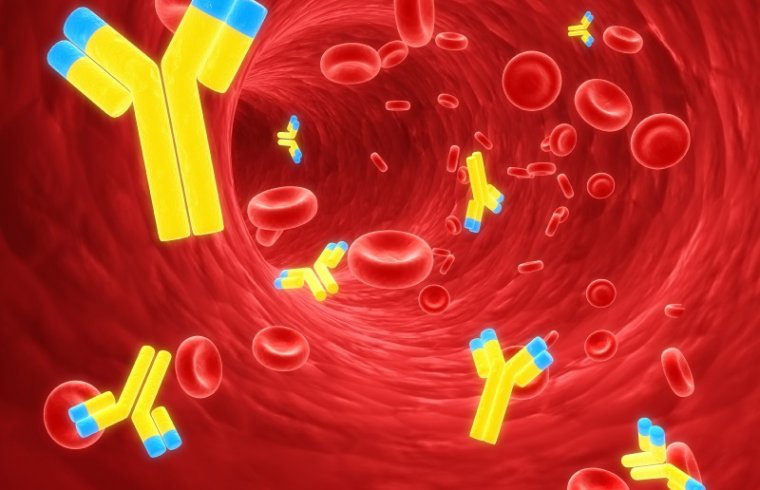 16 Anticuerpos monoclonales y sus aplicaciones