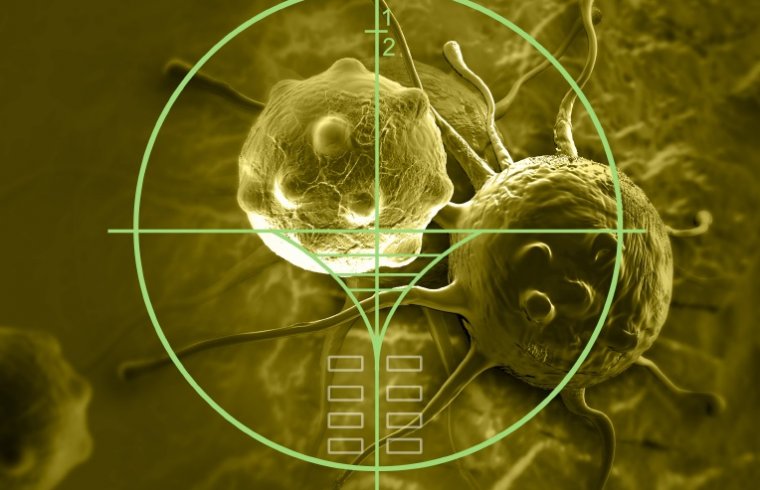 6 reactivos de laboratorio para la detección de microorganismos 