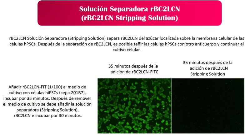 Solución separadora rBC2LCN