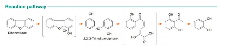 2,2',3-Trihydroxybiphenyl Standard