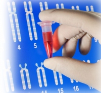 Insumos de laboratorio para purificación y análisis de ADN