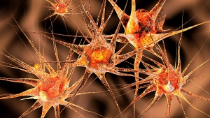 La importancia de la neurobioquímica en el tratamiento de enfermedades neurológi