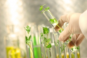 5 reactivos para laboratorio extraídos de plantas