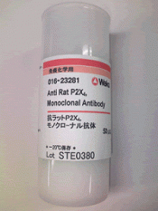 Anti P2X4 Anticuerpo monoclonal
