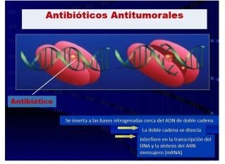 Antibióticos antitumorales