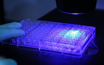 Uso de proteínas fluorescentes 