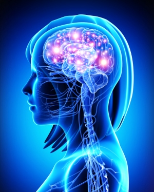 4 reactivos destinados a investigaciones en el área de la neurociencia