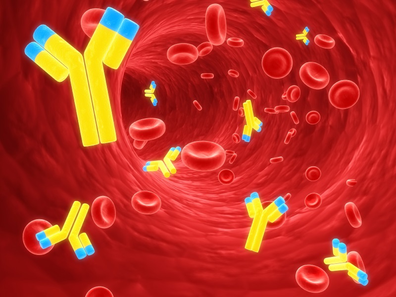 16 Anticuerpos Monoclonales Y Sus Aplicaciones En Investigaciones | Wako